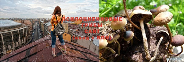 дурь Алексеевка