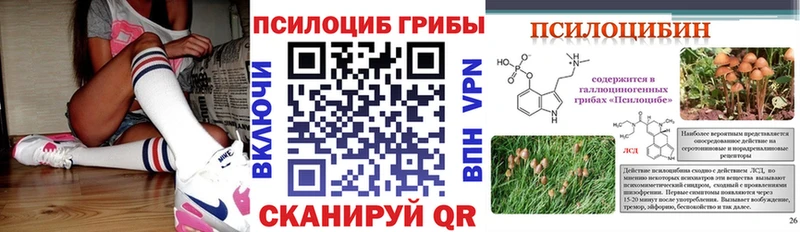 Купить закладки  Татарск  Псилоцибиновые грибы Cubensis 